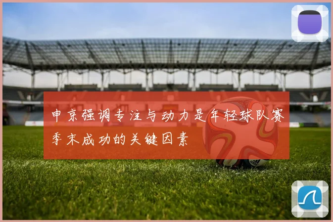 申京强调专注与动力是年轻球队赛季末成功的关键因素