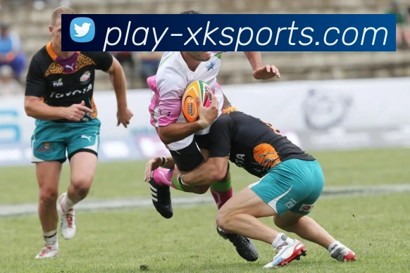 星空体育平台生态图