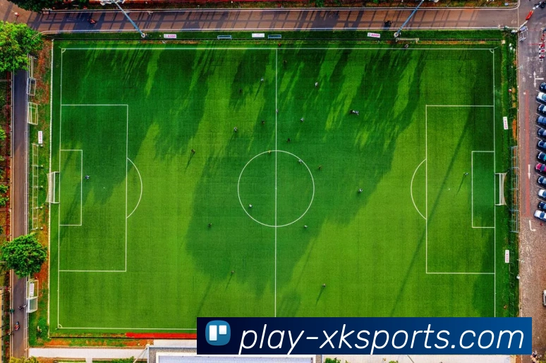 星空体育APP 封面图